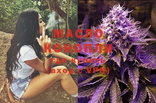 шишки Осташков
