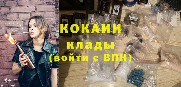 шишки Осташков