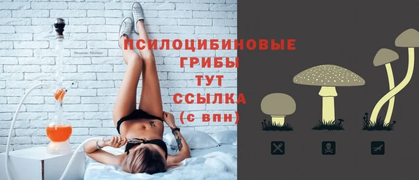 шишки Осташков
