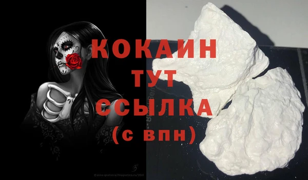 стафф Осинники