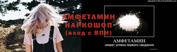 шишки Осташков