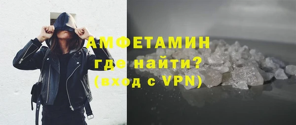 шишки Осташков