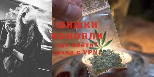 стафф Осинники