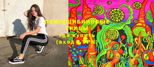 шишки Осташков