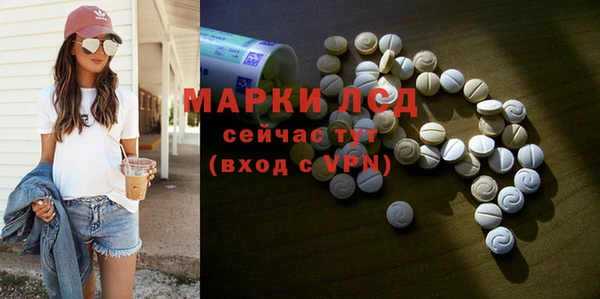 стафф Осинники