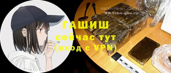 шишки Осташков