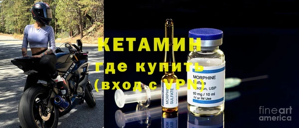 шишки Осташков