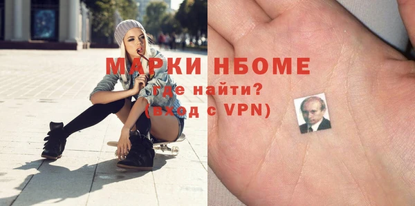 шишки Осташков