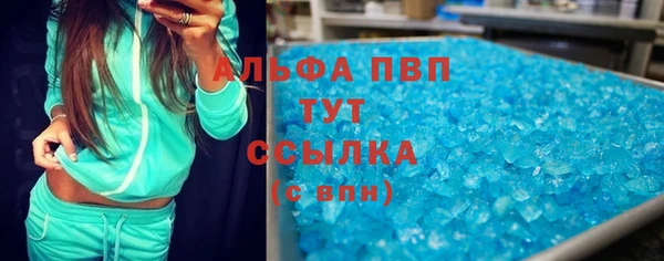 стафф Осинники