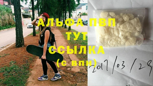 стафф Осинники