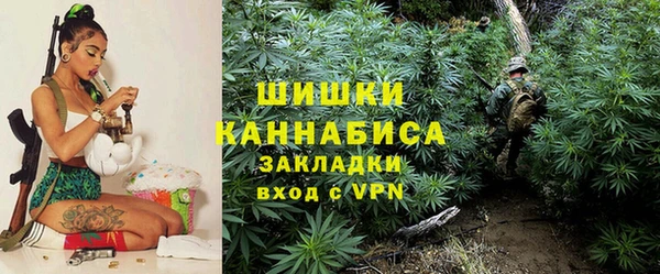 стафф Осинники